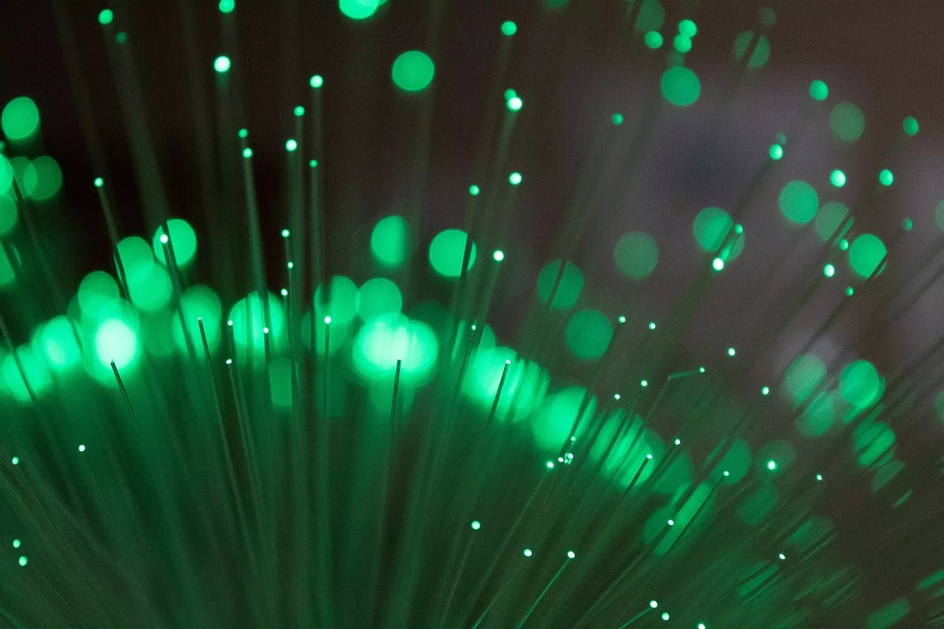 Glowing green fibres